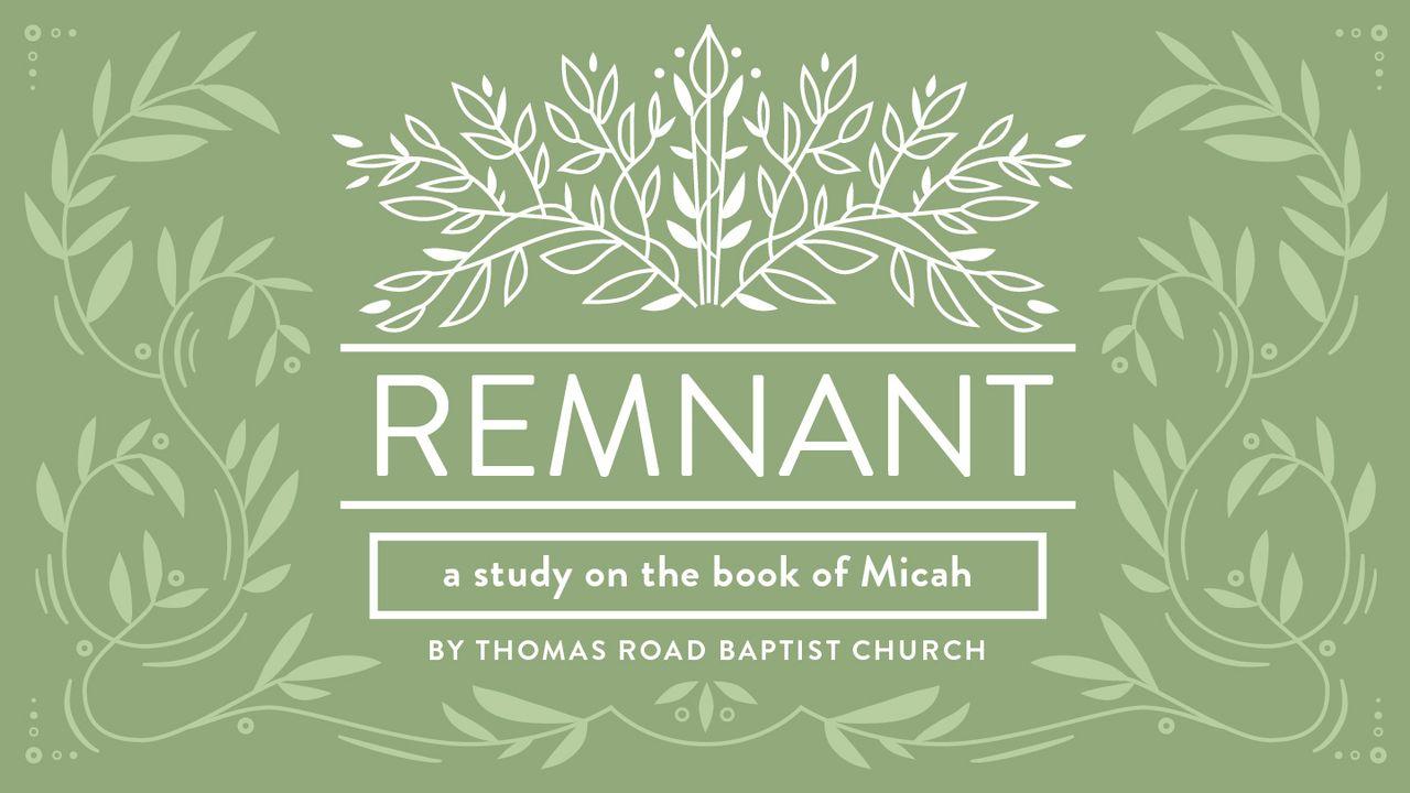 Remnant: A Study in Micah