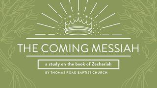 The Coming Messiah: A Study in Zechariah سفر زكريا 4:3 الترجمة العربية المشتركة