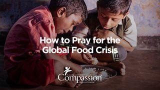 How to Pray for the Global Food Crisis List św. Pawła do Galacjan 6:2 Biblia Warszawska 1975