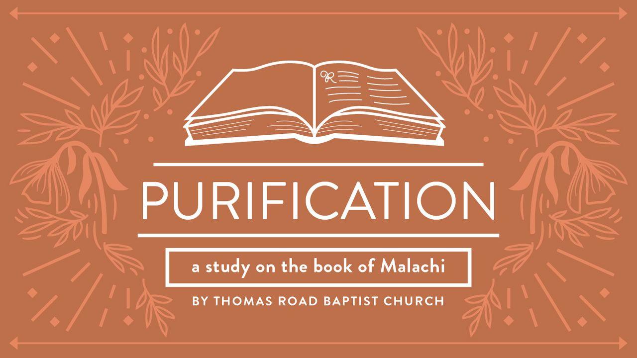 Purification: A Study in Malachi