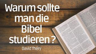 Warum sollte man die Bibel studieren? Matthäus 11:29 Albrecht NT und Psalmen