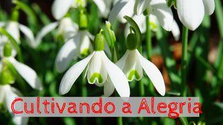 Cultivando a Alegria Romanos 8:1-6 O Livro