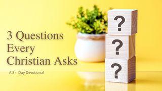 3 Questions Every Christian Asks 2 ЦІМАФЕЯ 2:13 Біблія (пераклад А.Бокуна)