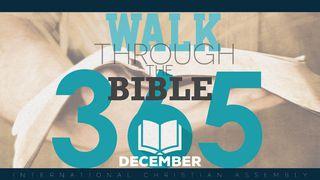 Walk Through The Bible 365 - December Obadja 1:4 Het Boek