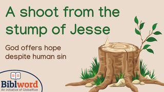 A Shoot From the Stump of Jesse Daniel 2:44 Beibl William Morgan - Argraffiad 1955