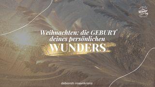 Weihnachten – Die GEBURT deines persönlichen WUNDERS Matthäus 1:23 Die Bibel (Schlachter 2000)