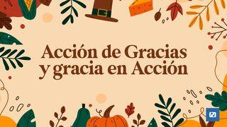 Acción De Gracias Y Gracia en Acción Proverbios 3:11-12 Nueva Versión Internacional - Español