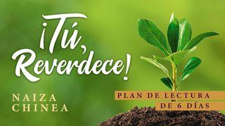 ¡Tú, Reverdece! LUCAS 15:11-32 La Palabra (versión española)