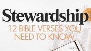 Stewardship: 12 Bible Verses You Need to Know ရွင္မႆဲခရစ္ဝင္ 25:29 ျမန္​မာ့​စံ​မီ​သမၼာ​က်မ္