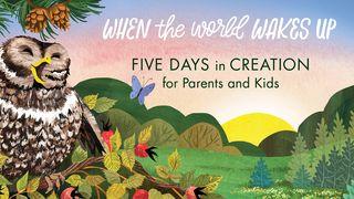 Five Days in Creation for Parents and Kids Salmos 47:1 Biblia Reina Valera 1960