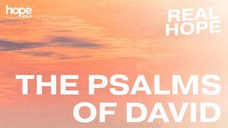 Real Hope: The Psalms of David 2 சாமு 11:4 இண்டியன் ரிவைஸ்டு வெர்ஸன் (IRV) - தமிழ்