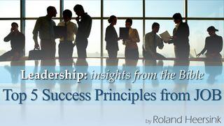 Leadership: The Top 5 Success Principles of Job Job 31:4 Baịbụlụ Nsọ nʼIgbo Ndị Ugbu a