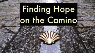 Finding Hope on the Camino Salmos 41:3 O Livro