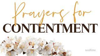 Prayers for Contentment 1 Timothy 6:9 New International Version