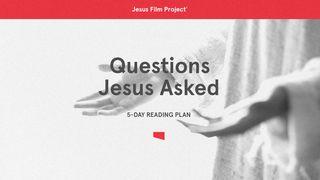 Questions Jesus Asked Mateo 20:34 Nacom Pejume Diwesi po diwesi pena jume diwesi xua Jesucristo yabara tinatsi