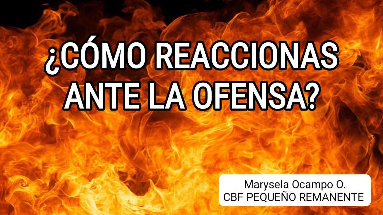 ¿Cómo Reaccionas Ante La Ofensa?