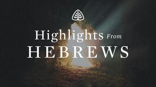 Highlights From Hebrews 希伯来书 7:1-28 新标点和合本, 神版