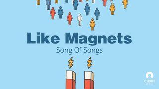 [Song of Songs] Like Magnets ராஜாக்களின் முதலாம் புத்தகம் 11:4 பரிசுத்த பைபிள்