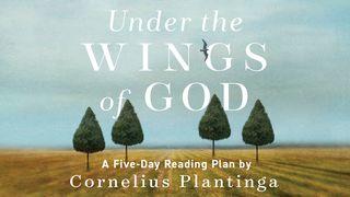 Under the Wings of God by Cornelius Plantinga मर्‌कुस 4:23 चेपाङ