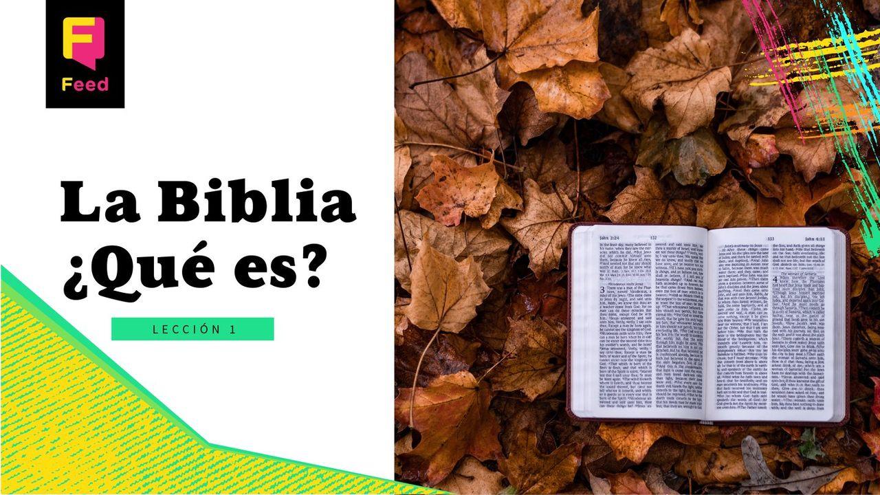 La Biblia, ¿qué es?