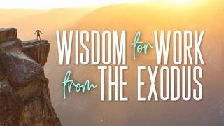 Wisdom for Work From the Exodus ꞌPai sia ꞌmướng 1:8 Tai Dam