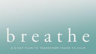 Breathe: A 6-Day Plan to Transform Chaos to Calm Jesaja 40:22 NBG-vertaling 1951