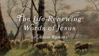 The Life-Renewing Words of Jesus by Adam Ramsey Juan 5:39-40 Nueva Versión Internacional - Español