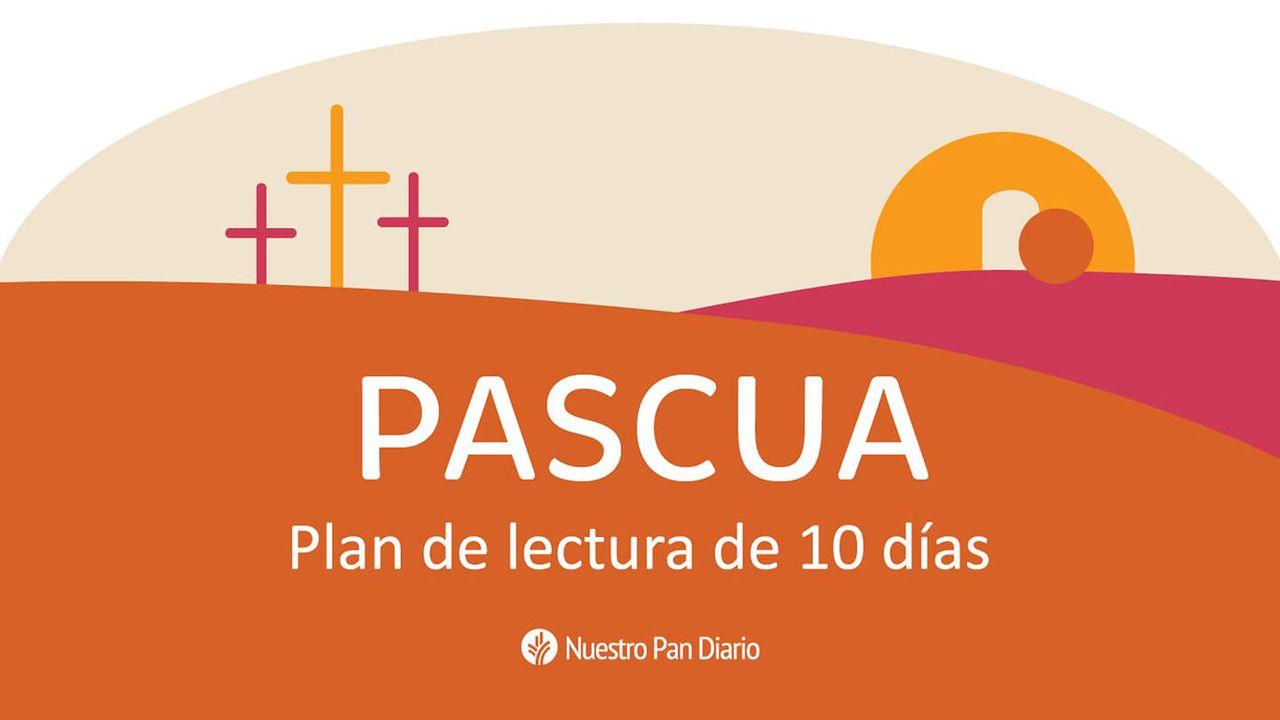 Pascua: Promesa De Perdón—10 Meditaciones De Nuestro Pan Diario