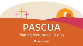 Pascua: Promesa De Perdón—10 Meditaciones De Nuestro Pan Diario Mateo 26:29 La Biblia de las Américas