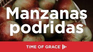 Manzanas podridas 1 Reyes 11:1-4 Biblia Dios Habla Hoy