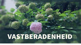 Vastberadenheid Numeri 13:30 Herziene Statenvertaling