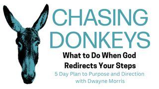 Chasing Donkeys: What to Do When God Redirects Your Steps 1 Samuel 8:5-6 Biblia Dios Habla Hoy