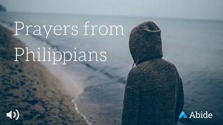 Prayers From Philippians Philippians 1:9-10 New International Version