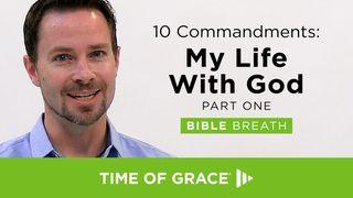 10 Commandments: My Life With God 利未记 23:3 当代译本