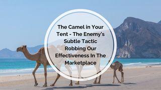 The Camel in Your Tent - the Enemy’s Subtle Tactic Robbing Our Effectiveness in the Marketplace KAJAJIYANG 3:1 KITTA KAREBA MADECENG