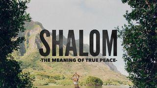 SHALOM - the Meaning of True Peace Romans 5:1-15 The Passion Translation