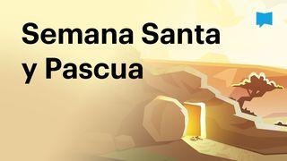 Proyecto Biblia | Semana Santa y Pascua MARCOS 14:3-9 Reina Valera 2020