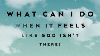 What Can I Do When It Feels Like God Isn’t There? Habakuk 1:4 Het Boek