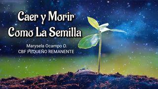 Caer y morir como la semilla 1 Pedro 1:13 Biblia Reina Valera 1960