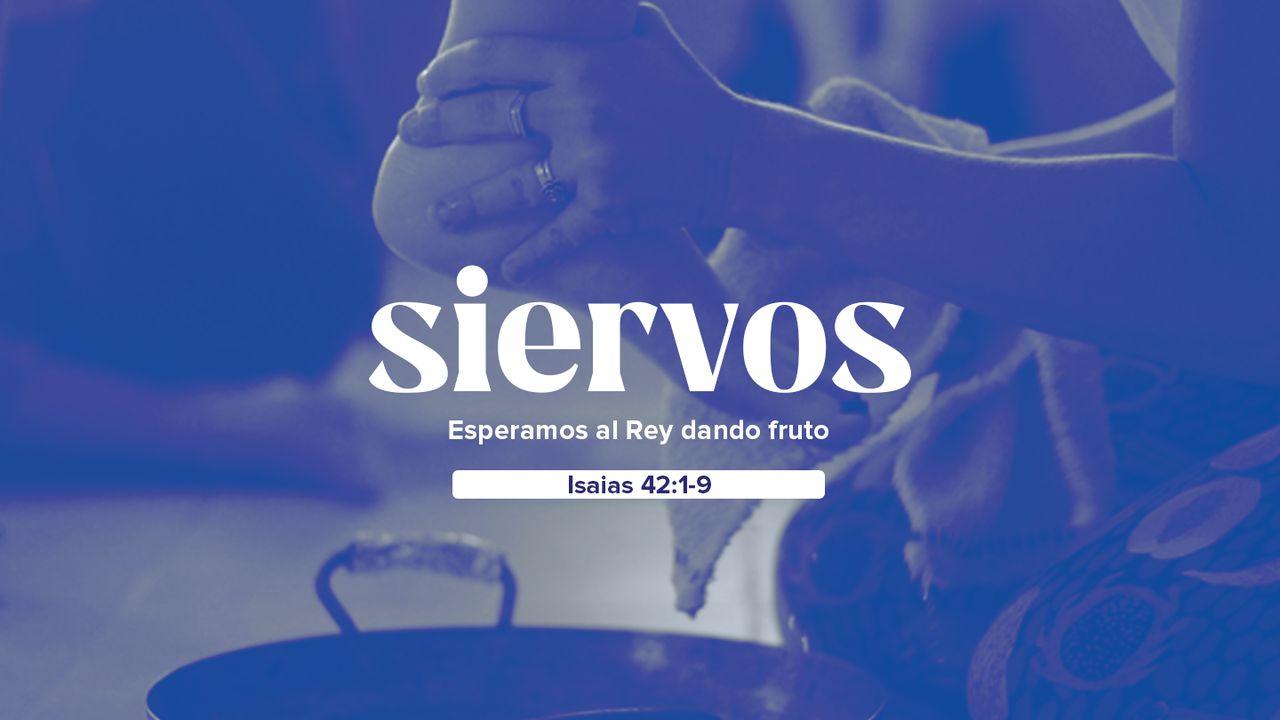 Siervos - Esperamos Al Rey Dando Fruto