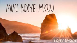 Mimi Niko Aliye Mkuu John 8:7 Ne Saint John 1804