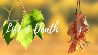 Discipleship & Life and Death Mark 14:30 Tewa