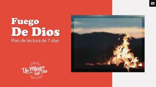 ¡Fuego De Dios! San Lucas 3:16 Reina Valera Contemporánea