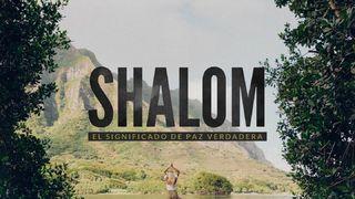 SHALOM - La Verdadera Paz Juan 14:27 Nueva Traducción Viviente