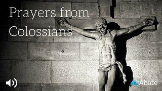 Prayers From Colossians ေကာေလာသဲဩဝါဒစာ 4:2 ျမန္​မာ့​စံ​မီ​သမၼာ​က်မ္