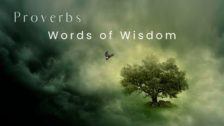 Proverbs - Words of Wisdom Proverbs 1:10-19 New International Version