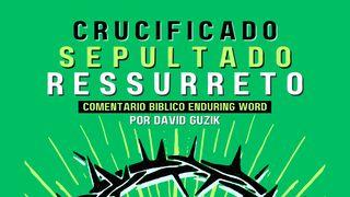 Crucificado, Sepultado e Ressurreto! Mateus 28:6 Nova Bíblia Viva Português