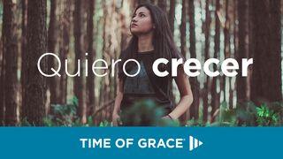 Quiero crecer Mateo 6:25-33 Traducción en Lenguaje Actual