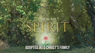 Life in the Spirit: Adopted Into Christ's Family 诗篇 71:3 新译本