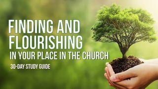 Finding and Flourishing in Your Place in the Church Jeremia 3:15 Svenska Folkbibeln